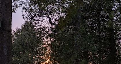 Newly Renovated Waterfront Cabin on Clark Lake
