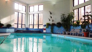 En indendørs swimmingpool med tydelige baner, oplyst af store vinduer, omgivet af plantekasser og siddepladser.
