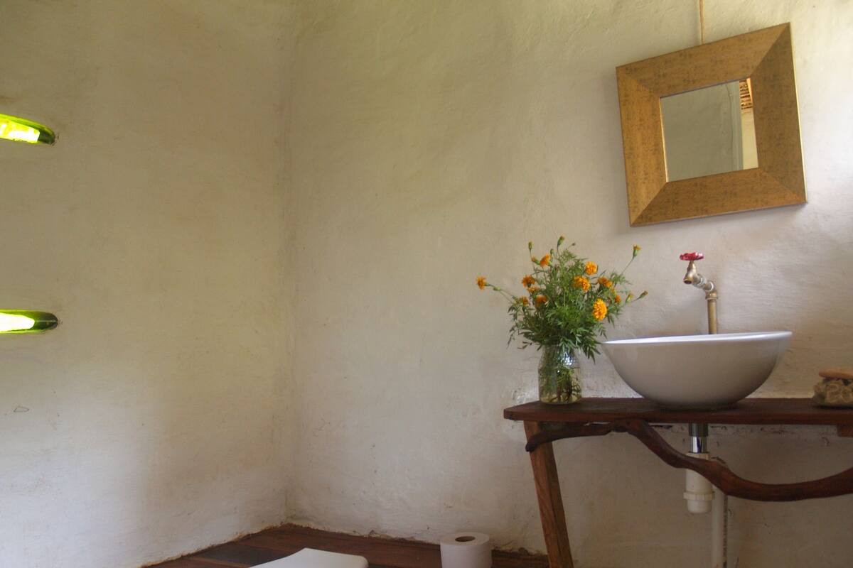 Shower, towels, toilet paper