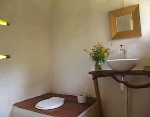 Shower, towels, toilet paper