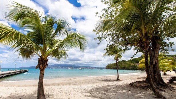 A beach with palm trees and a clear sky. - Eden Kay - 100m from the beach (Les Trois-Îlets)