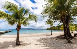 A beach with palm trees and a clear sky.