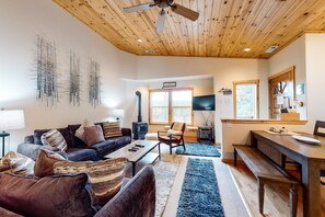 TV, fireplace, DVD player, books