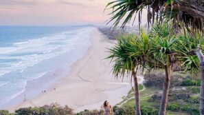 On the beach - POOL - OCEAN VIEWS - PET FRIENDLY (SUNSHINE BEACH)