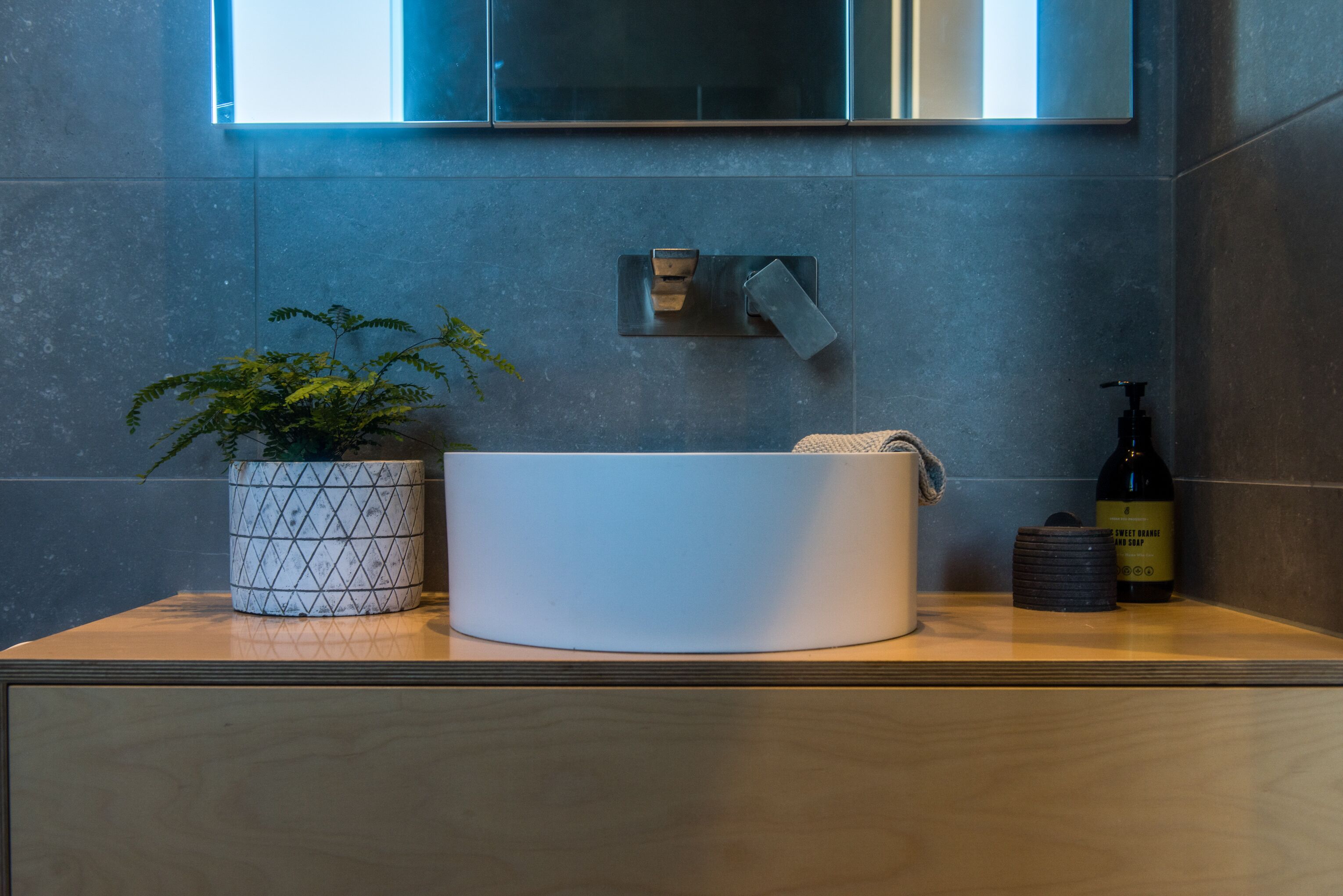 Een moderne badkamer met een grote wasbak, een potplant, een handdoek en een zeepfles.