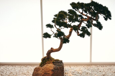 nol kyoto sanjo - Image 6
