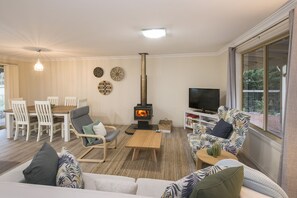 TV, fireplace, books