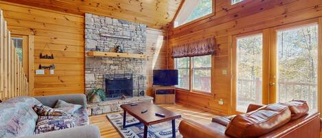 Télévision, cheminée, lecteur de DVD