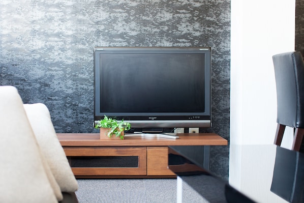 Standard Room | Television