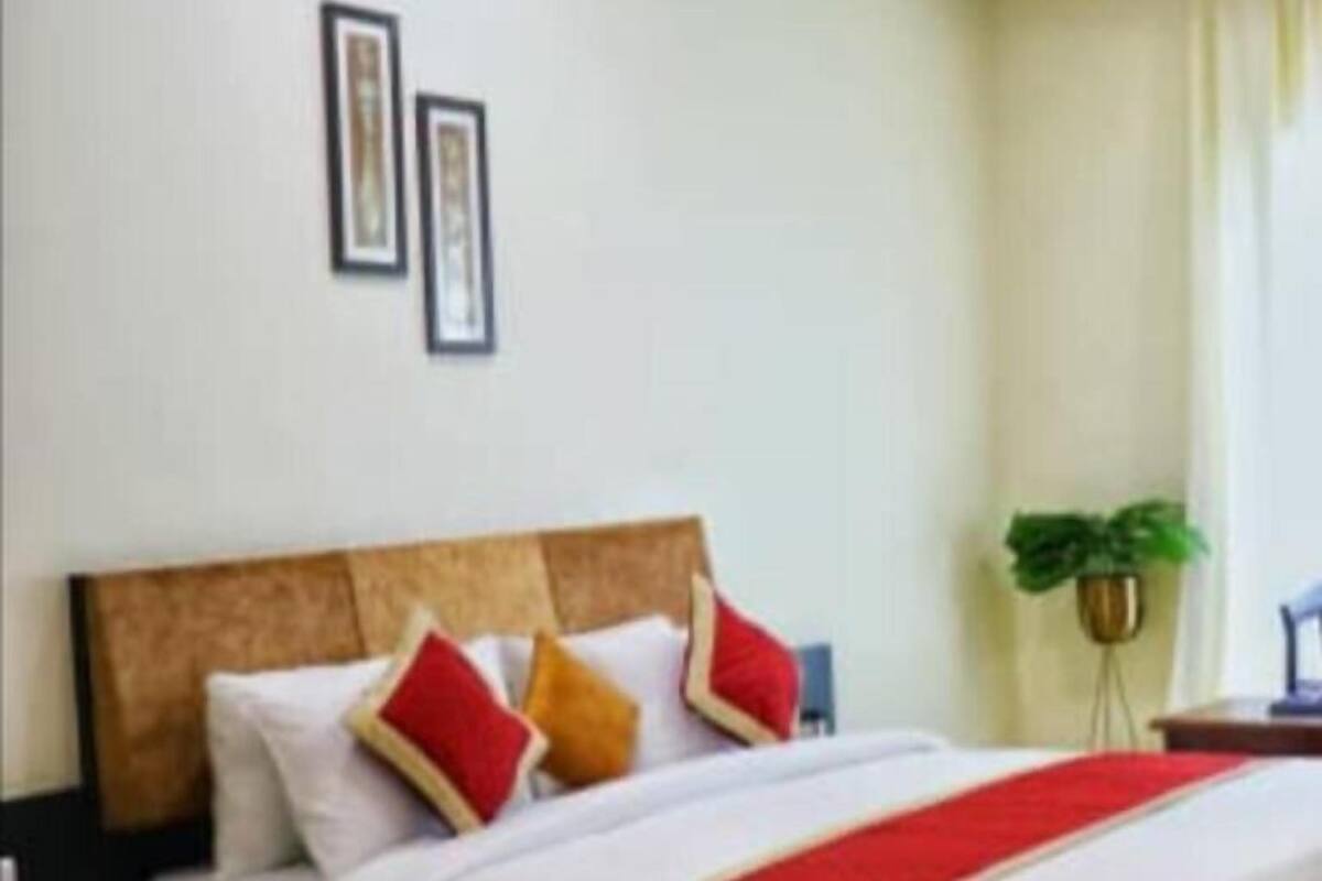 A hotel room with a bed, pillows, a bedside table, a plant, and framed pictures on the wall.
