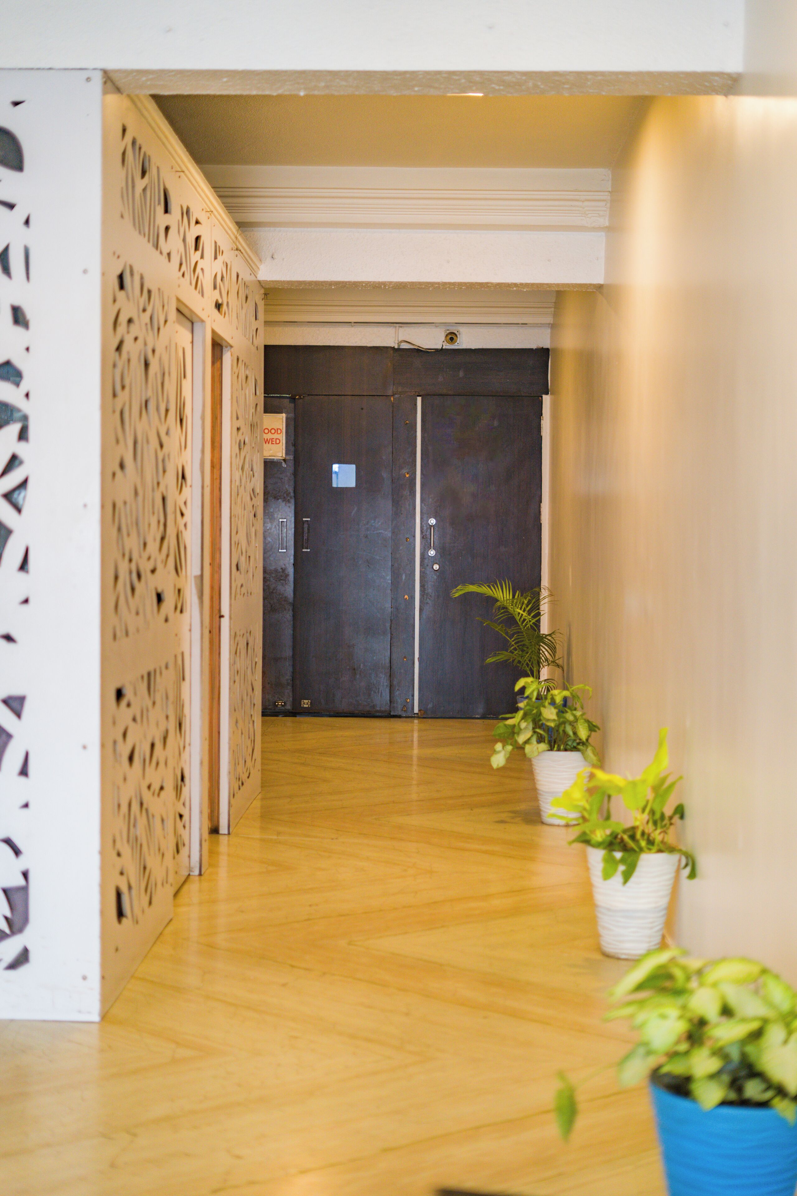 A hallway with wooden flooring, a dark door at the end, and two potted plants on the right.
