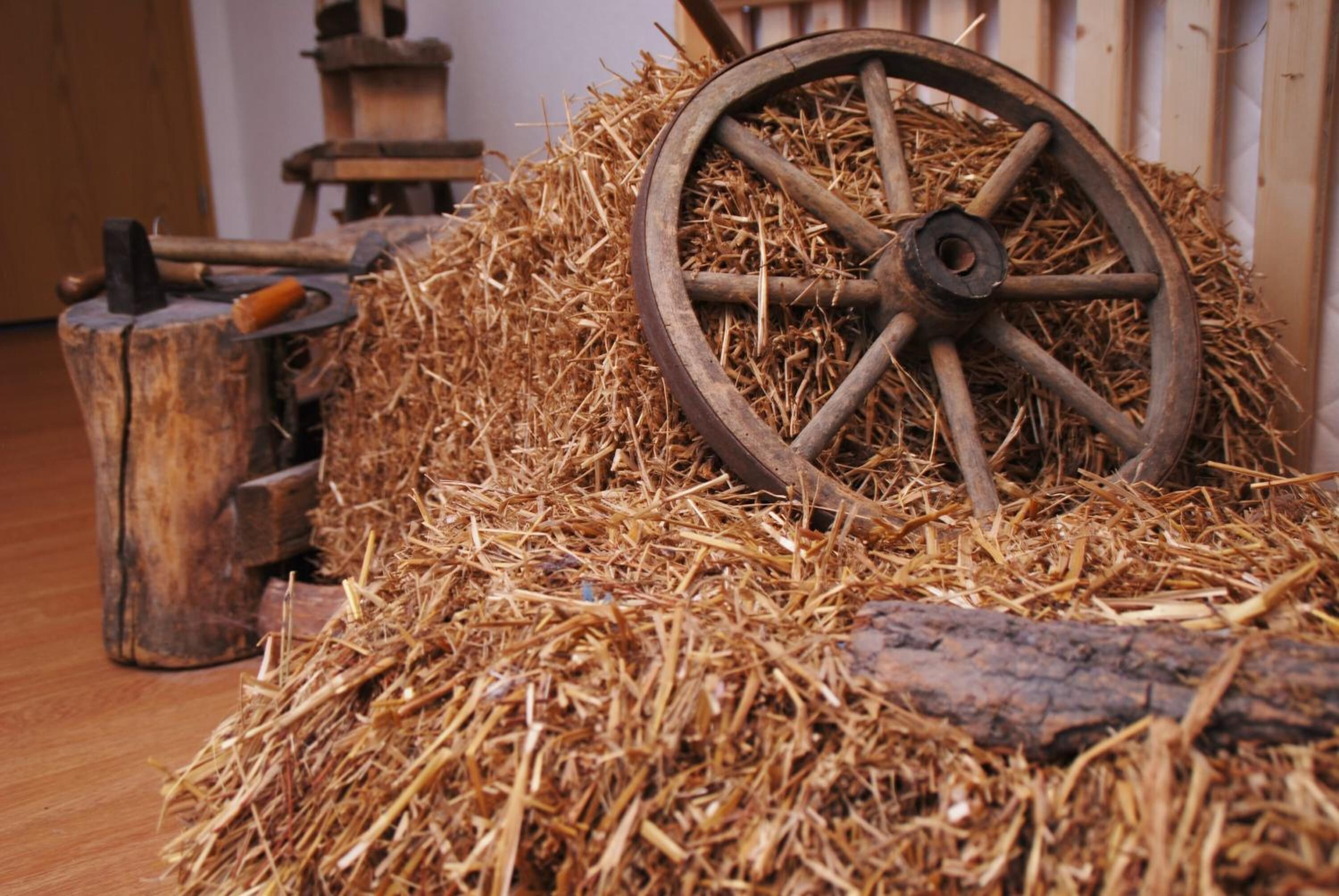 breakfast, lunch, dinner served; german cuisine