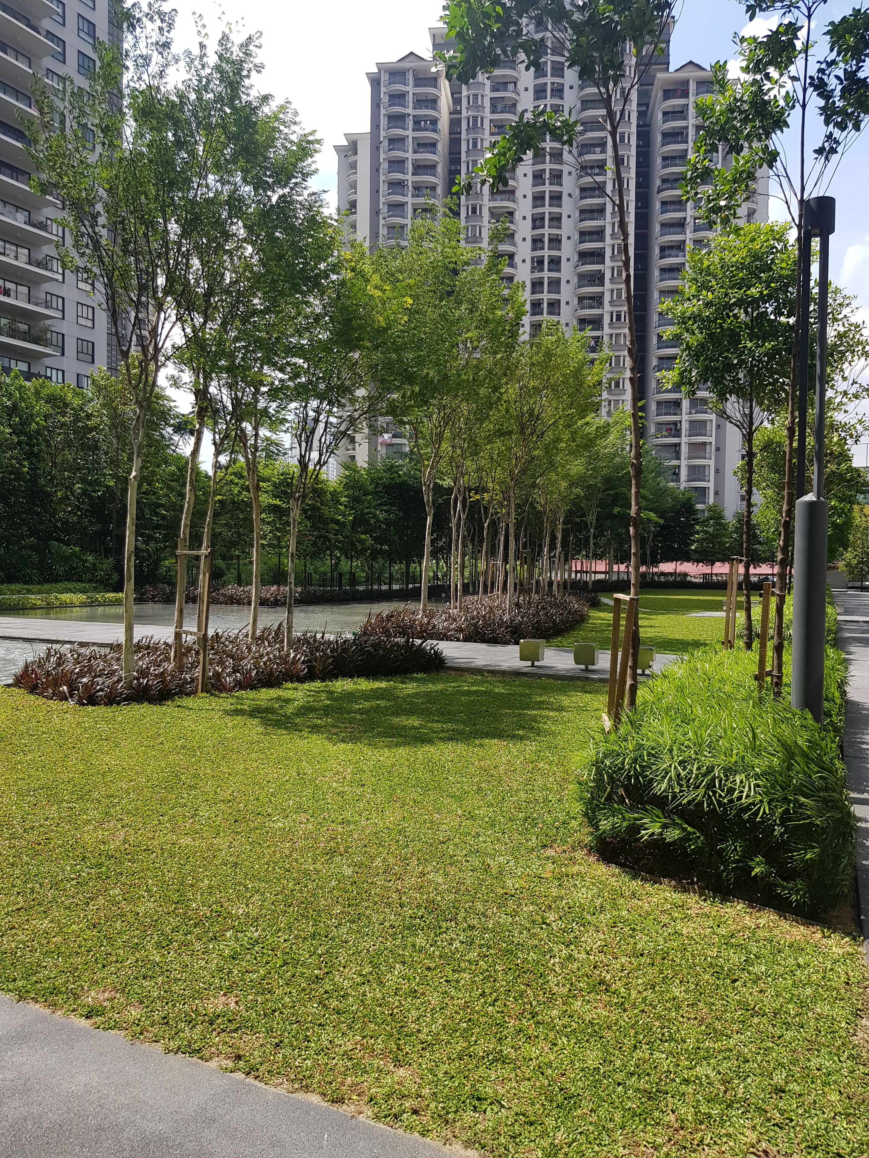 Un parque urbano bien cuidado con un sendero pavimentado, árboles jóvenes y una fuente de agua.