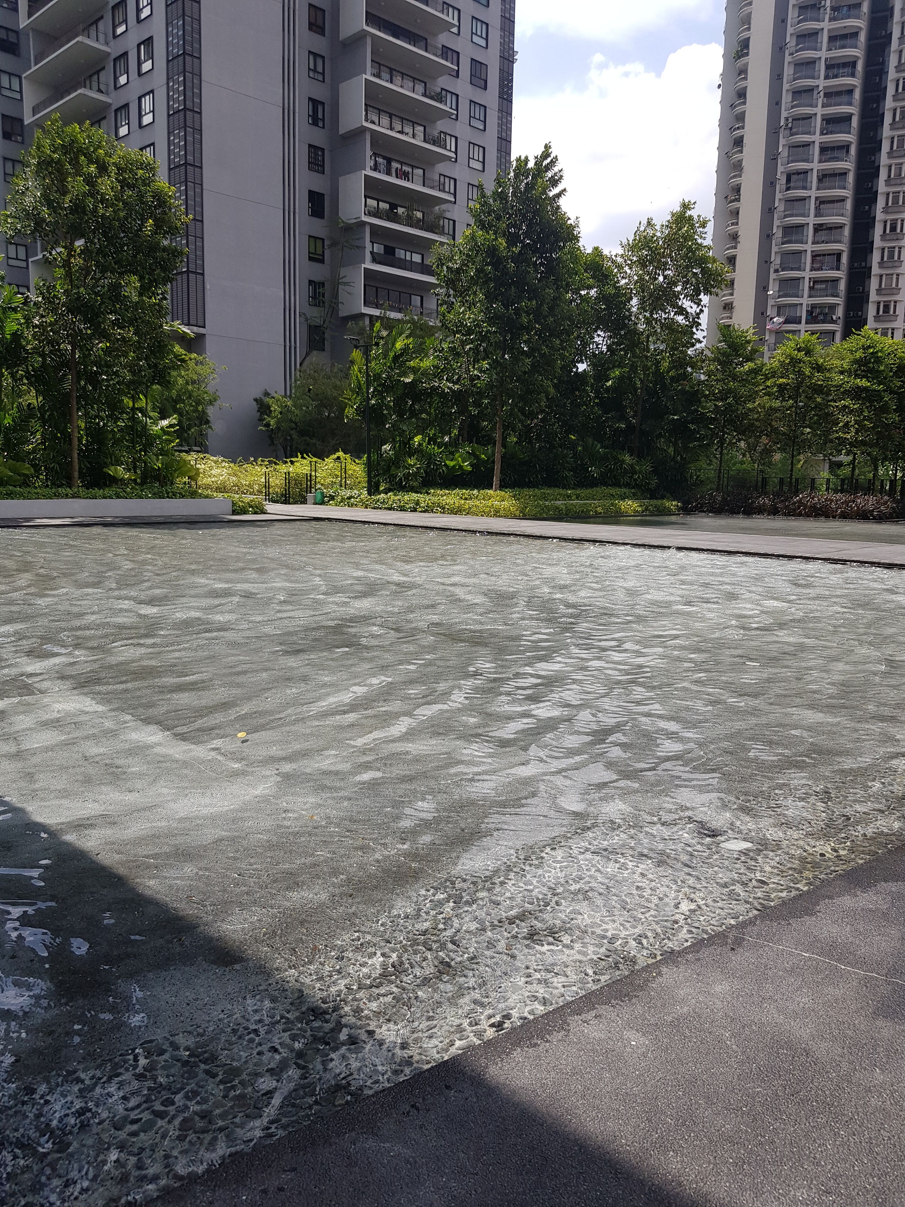 A rooftop pool area with clear water, surrounded by greenery and tall residential buildings.