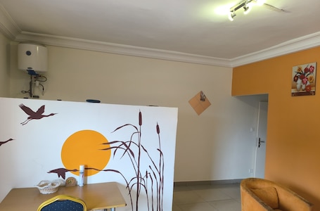 Business Penthouse | Living area | 43-inch LCD TV with satellite channels, TV