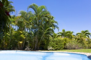Outdoor pool - Villa Acassia with 2 rooms (Black River)