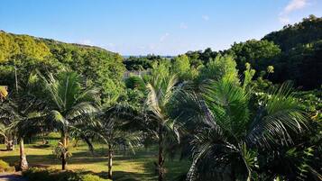 Villa | Beach/ocean view