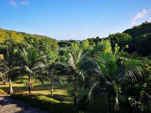 Vue sur la plage/l’océan