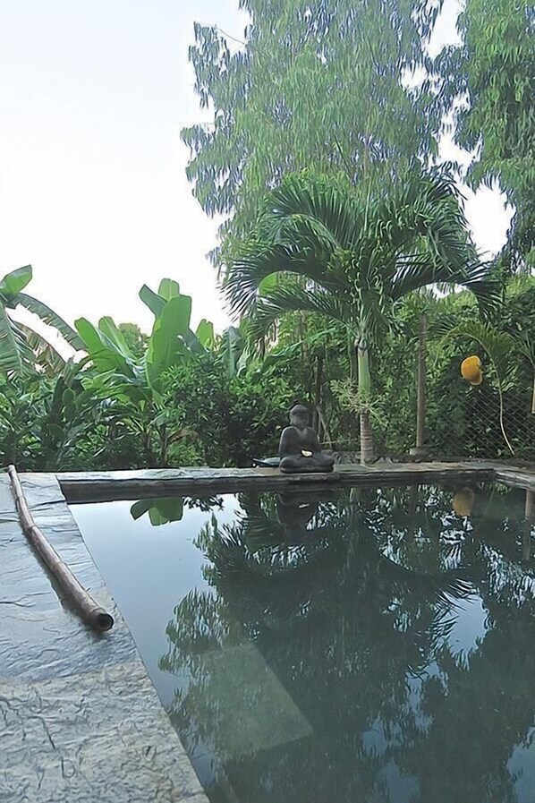 Piscine extérieure