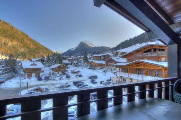 Property grounds - CHARMING APT. AT THE BOTTOM OF PLENEY SLOPES (MORZINE)