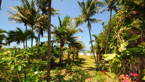 A tropical garden with palm trees and flowering plants. - Villa Philibert (Surinam)
