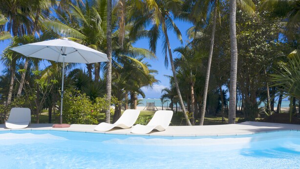 A pool with lounge chairs and an umbrella, surrounded by palm trees and a clear sky. - Villa Philibert (Surinam)