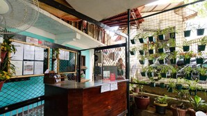A reception area with a wooden counter, a fan, and various potted plants. - RedDoorz @ Dinagpan Street Coron (Coron)