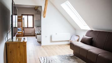 Standard Apartment | Living area