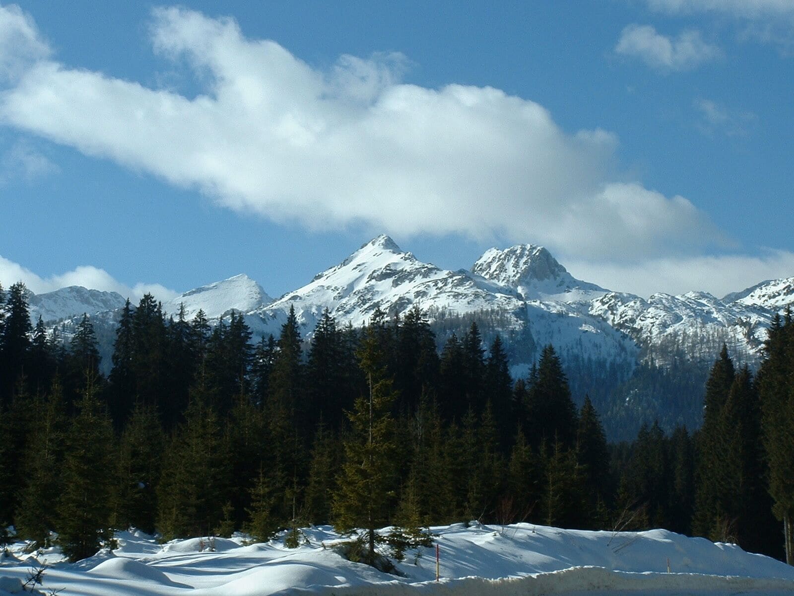A snow-covered mountain range with dense forests at the base.