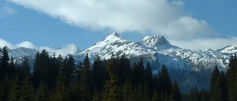 A snow-covered mountain range with dense forests at the base.