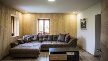 Deluxe Apartment | Living area