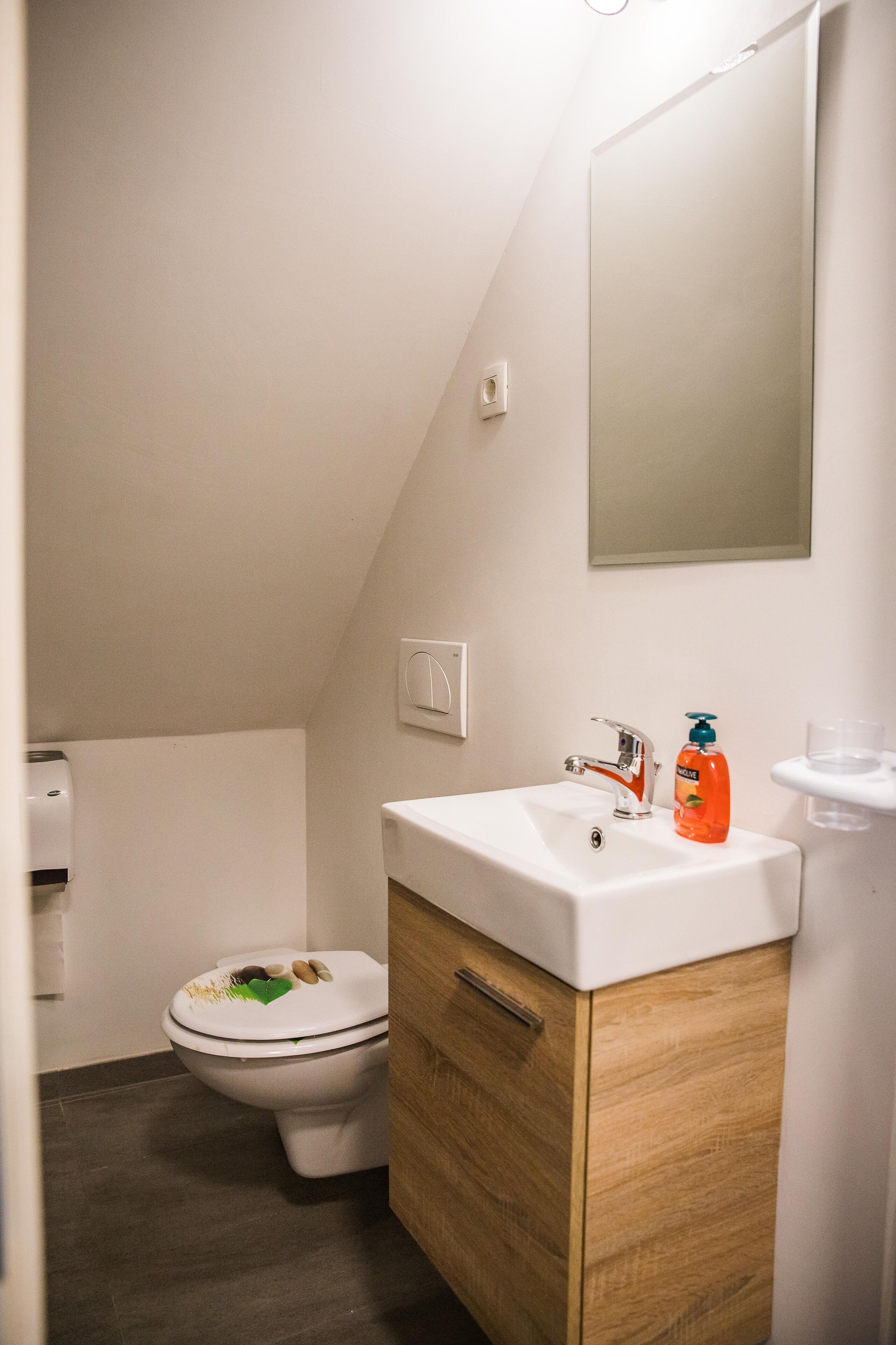 A small, modern bathroom with a white toilet, a wooden cabinet, and a white sink.
