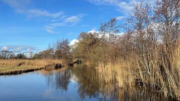 Une rivière paisible, bordée de roseaux et d’arbres dont le reflet se mire dans l’eau.