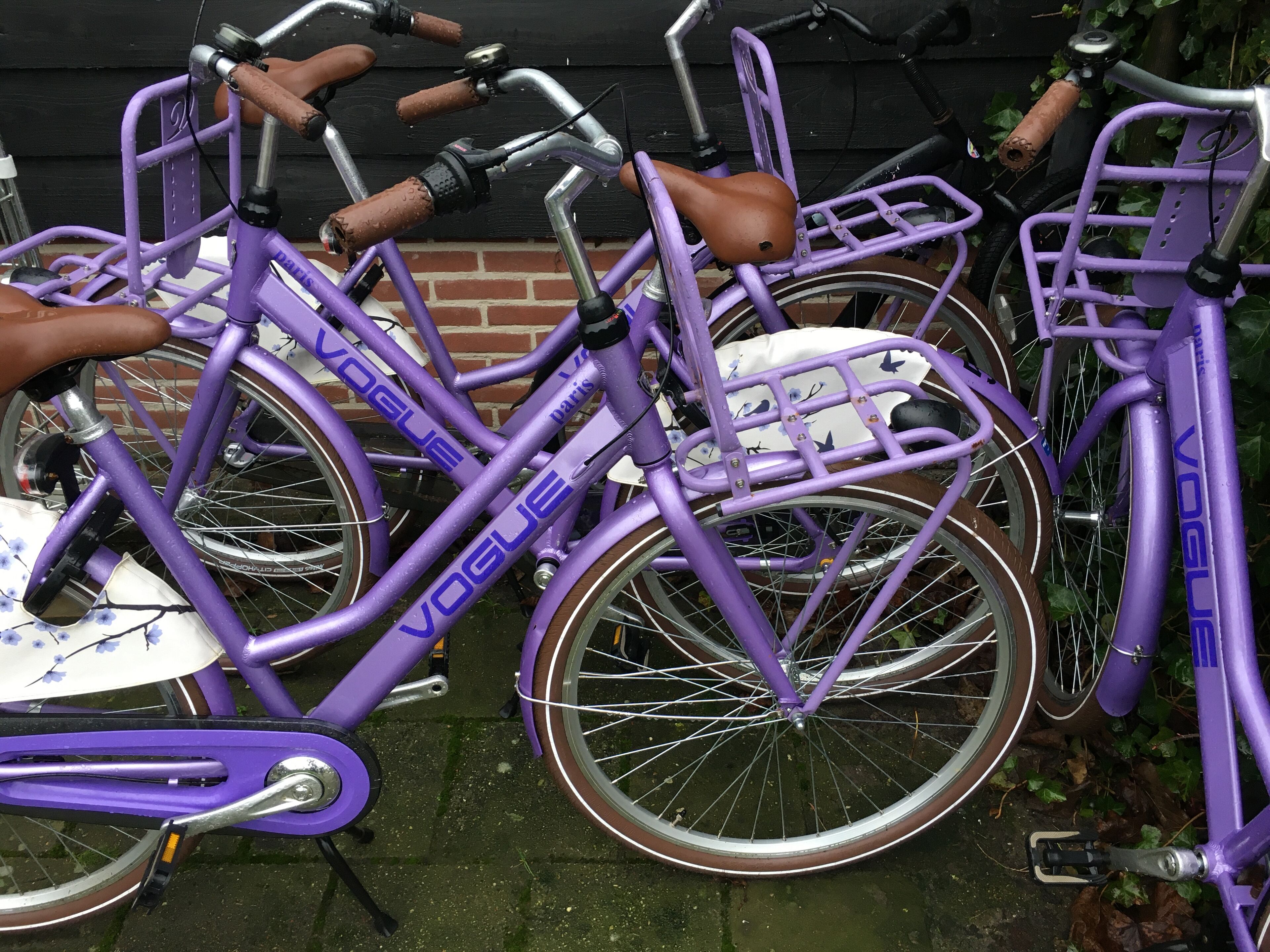 Un vélo violet avec un panier et une selle blanche ornée de fleurs bleues, garé contre un mur de briques.