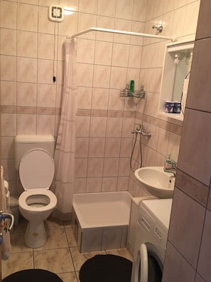 Apartment, 1 Bedroom | Bathroom shower