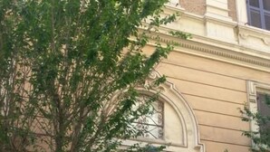 Une façade d’immeuble avec une grande entrée en arc de cercle, un arbre devant et une boîte aux lettres sur la droite.