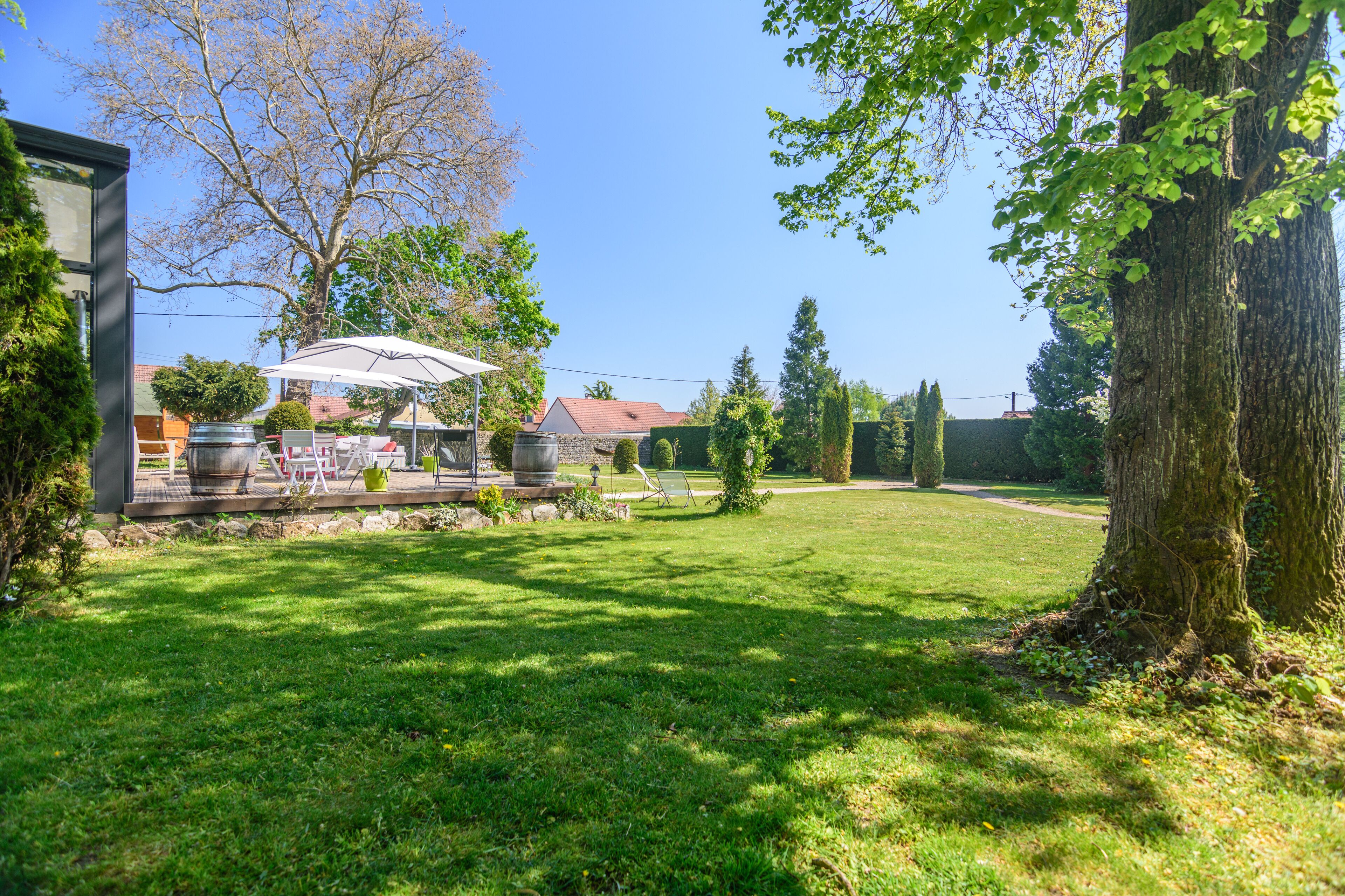 A spacious backyard with a patio area, a large tree, and a well-maintained lawn.