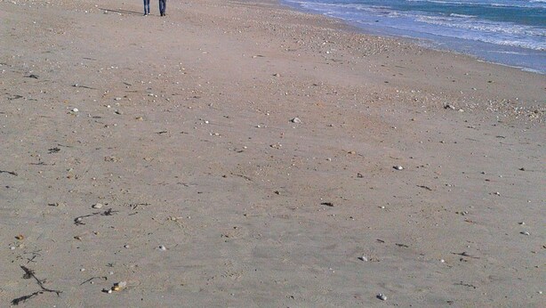 A beach with two people walking, a clear sky, and a distant kite. - Attached ground floor apartment on Enclosed grounds (Plouay)