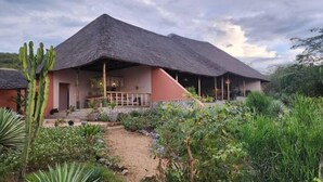 A thatched-roof building with a covered porch, surrounded by lush greenery and cacti. - Kikonko Lodge (Buseruka)