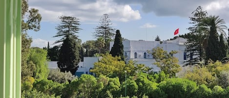 A view of a building with a flag, surrounded by trees and greenery.