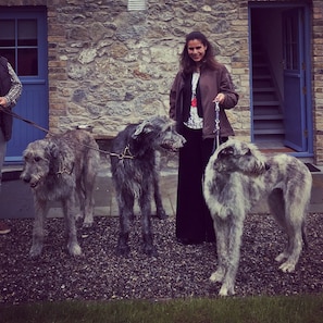 Garden - Hotwell House (Ballynakill)