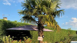 An outdoor patio with a table set for dining, surrounded by lush greenery and a pool. - Bed & Breakfast Les Tignoliers (Tignieu-Jameyzieu)