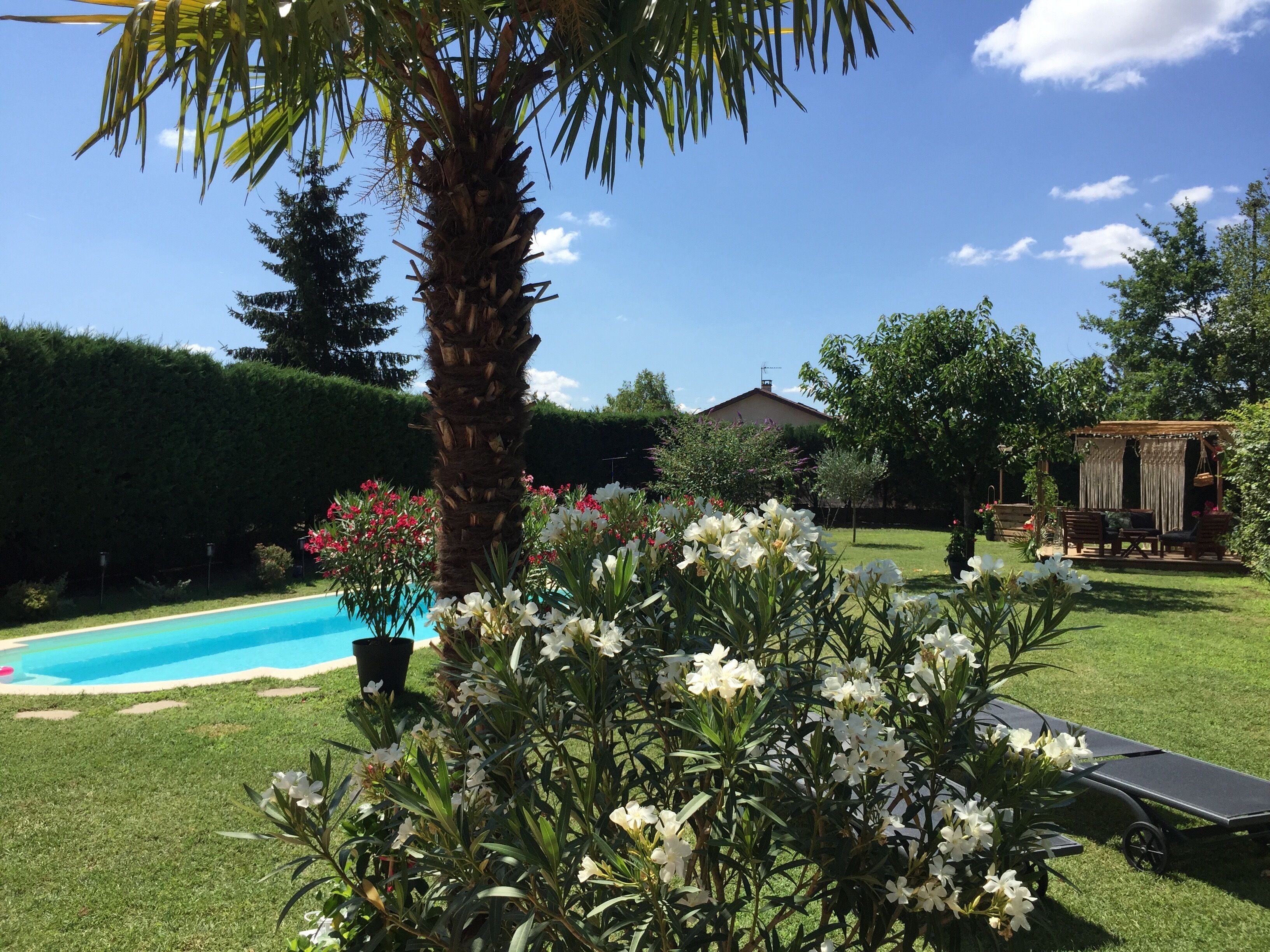 Seasonal outdoor pool, open 9:00 AM to 8:00 PM, pool loungers