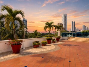 Une terrasse sur le toit agrémentée de plantes en pot, dotée d’un sol carrelé, avec une vue sur le panorama urbain en arrière-plan.