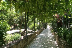 Un camino empedrado bordeado de exuberante vegetación y parras, que atraviesa un jardín.