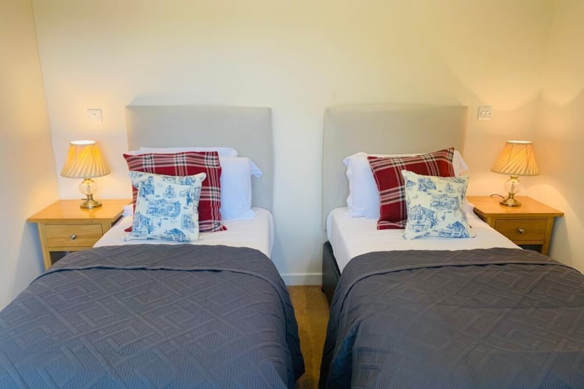 Two twin beds with matching headboards, bedside lamps, and patterned pillows.