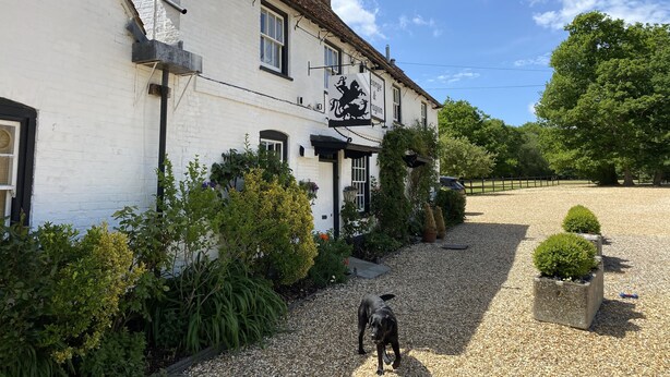 A white building with a black sign reading "George & Rugon" and a dog walking on the gravel driveway. - The George & Dragon Country Pub & Hotel (Tadley)