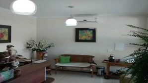 Un salon avec un canapé, une petite table, une plante décorative et un luminaire au plafond.