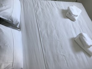 1 bedroom, free WiFi - APARTMENT IN THE HEART OF THE CITY CENTER, SKADARLIJA, MOMO 3 (Stari Grad)