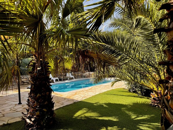 A pool area with palm trees and a stone pathway.